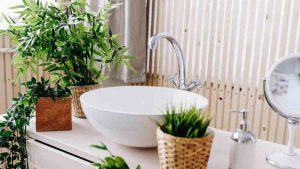 Quelle plante pour votre salle de bains ?