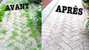 Voici comment faire pour enlever les mauvaises herbes des trottoirs