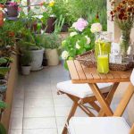 Créer un petit espace jardin, les astuces à connaitre pour verdoyer votre environnement