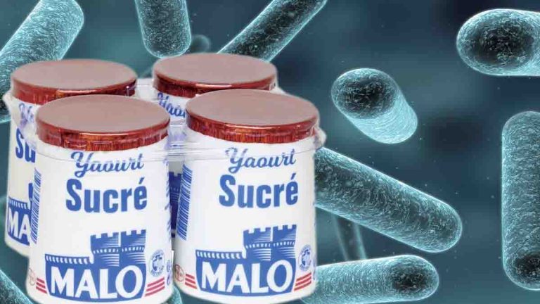 Les yaourts Malo suspectés de contenir la bactérie E. Coli