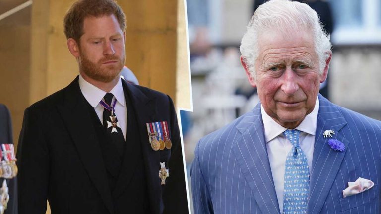 Prince Harry, le résultat d’un test ADN, sa charge contre Charles