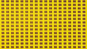 Défi visuel : Pouvez-vous trouver le chiffre caché ?